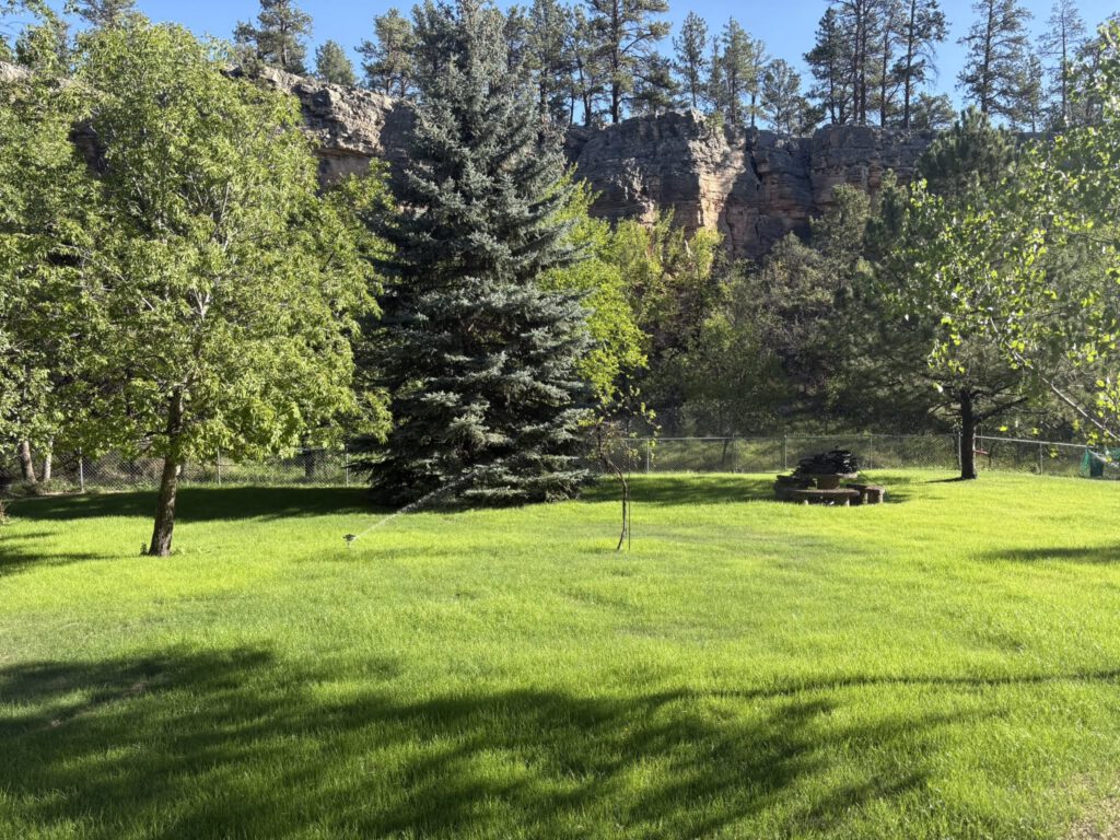 Home Hydroseeding 1024x768